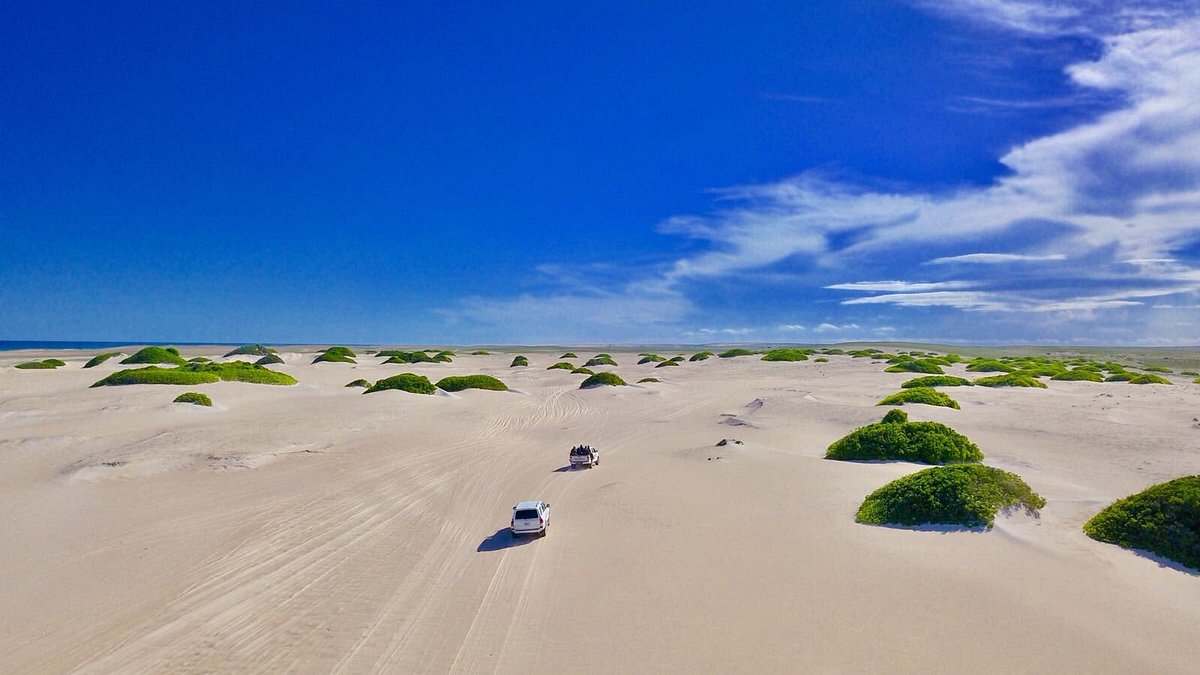[{"image": "/uploads/images/78260475a061cf1b81157c98.png, "title": "Discover the Horn of Africa", "subtitle": "Where Ancient Wonders Meet Untamed Wilderness"}, {"image": "/assets/images/home/50791579353_15c1da0f9d_o.jpg", "title": "Ancient Rock Art", "subtitle": "Journey through 5,000 years of history at Laas Geel"}, {"image": "/assets/images/home/camel-sunset-beach.jpg", "title": "Unforgettable Adventures", "subtitle": "Experience the raw beauty of East Africa"}]