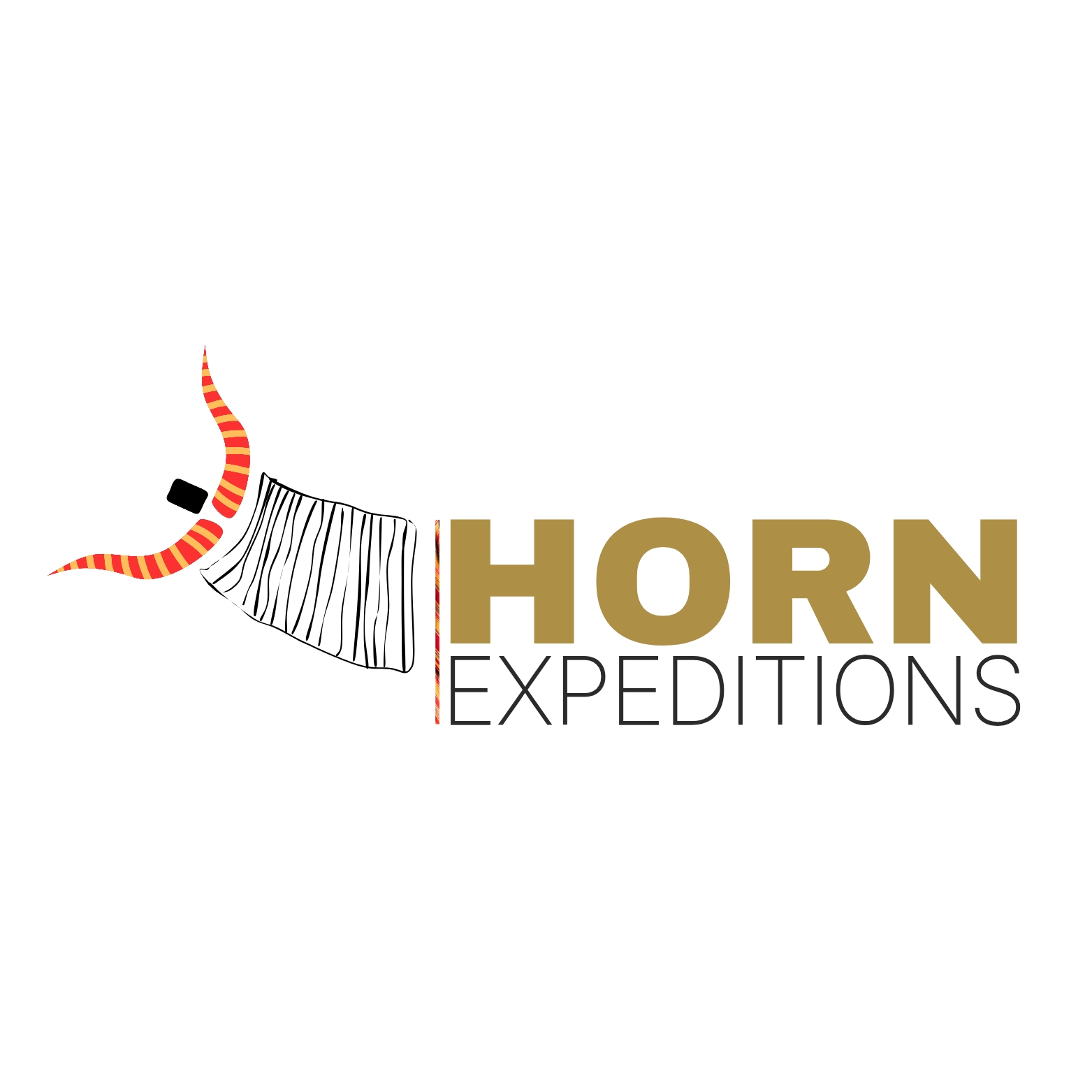 Horn Expeditions