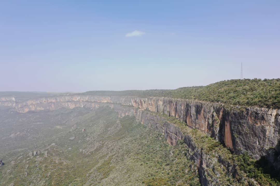 Daallo