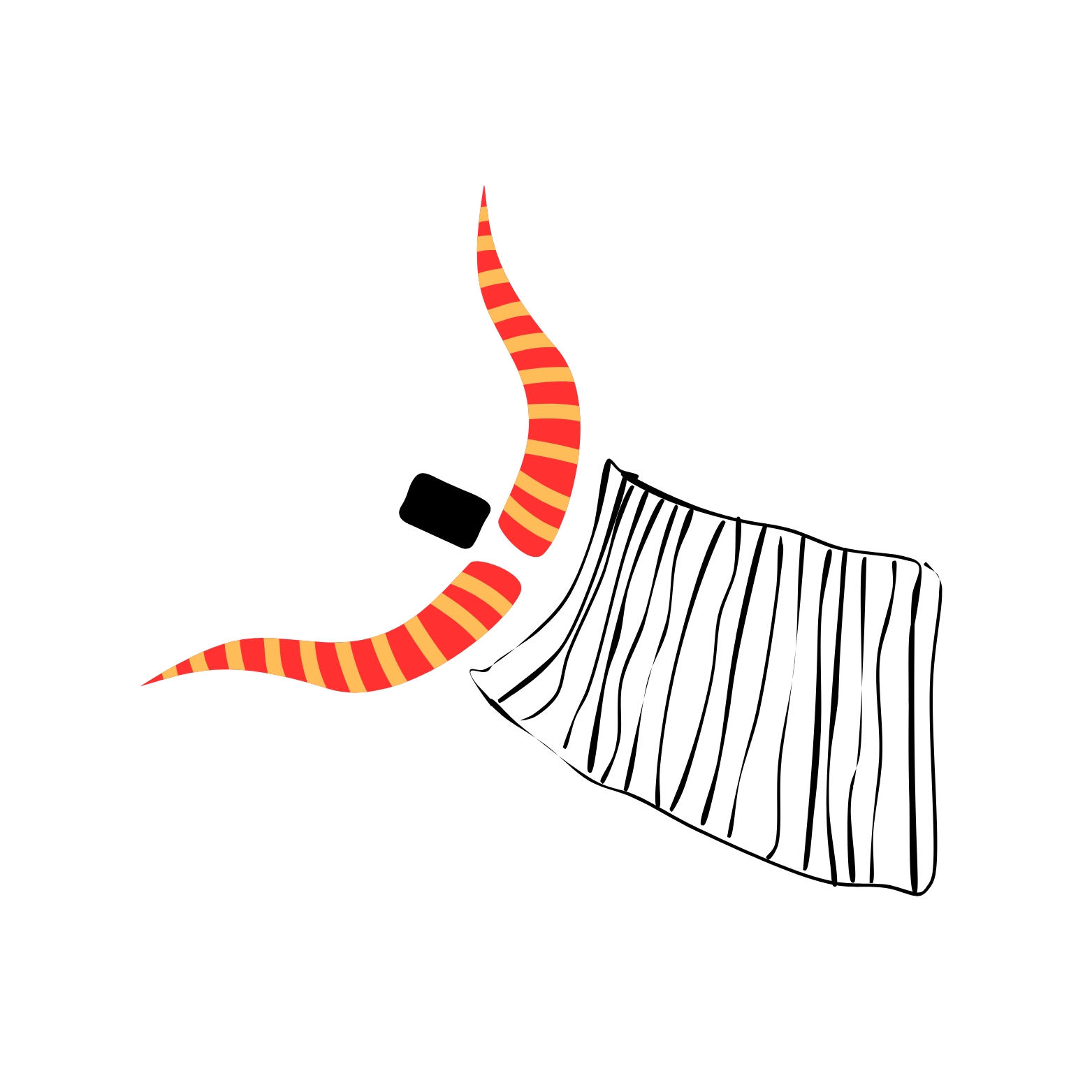 Horn Expeditions