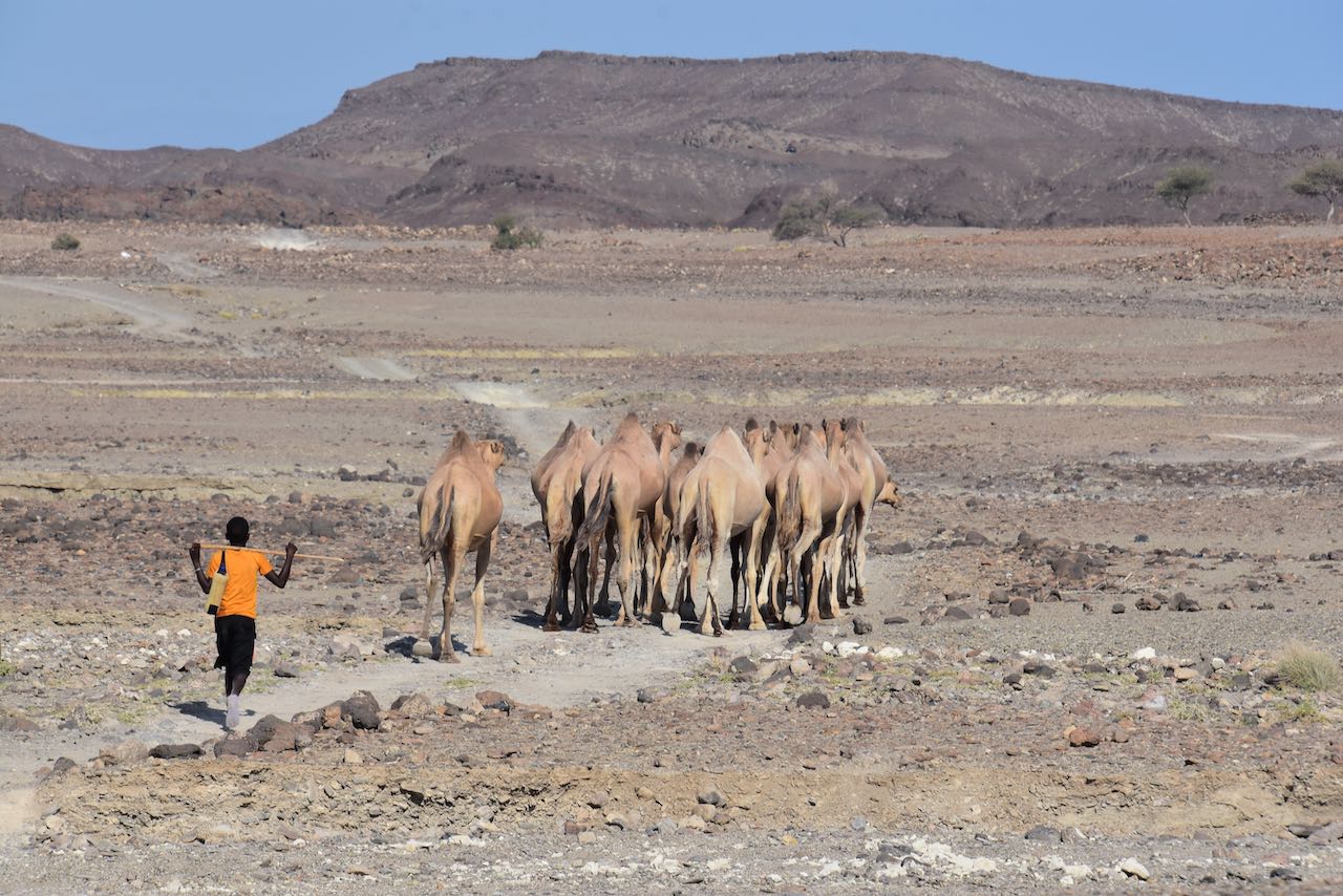 Somaliland & Djibouti (Overland)