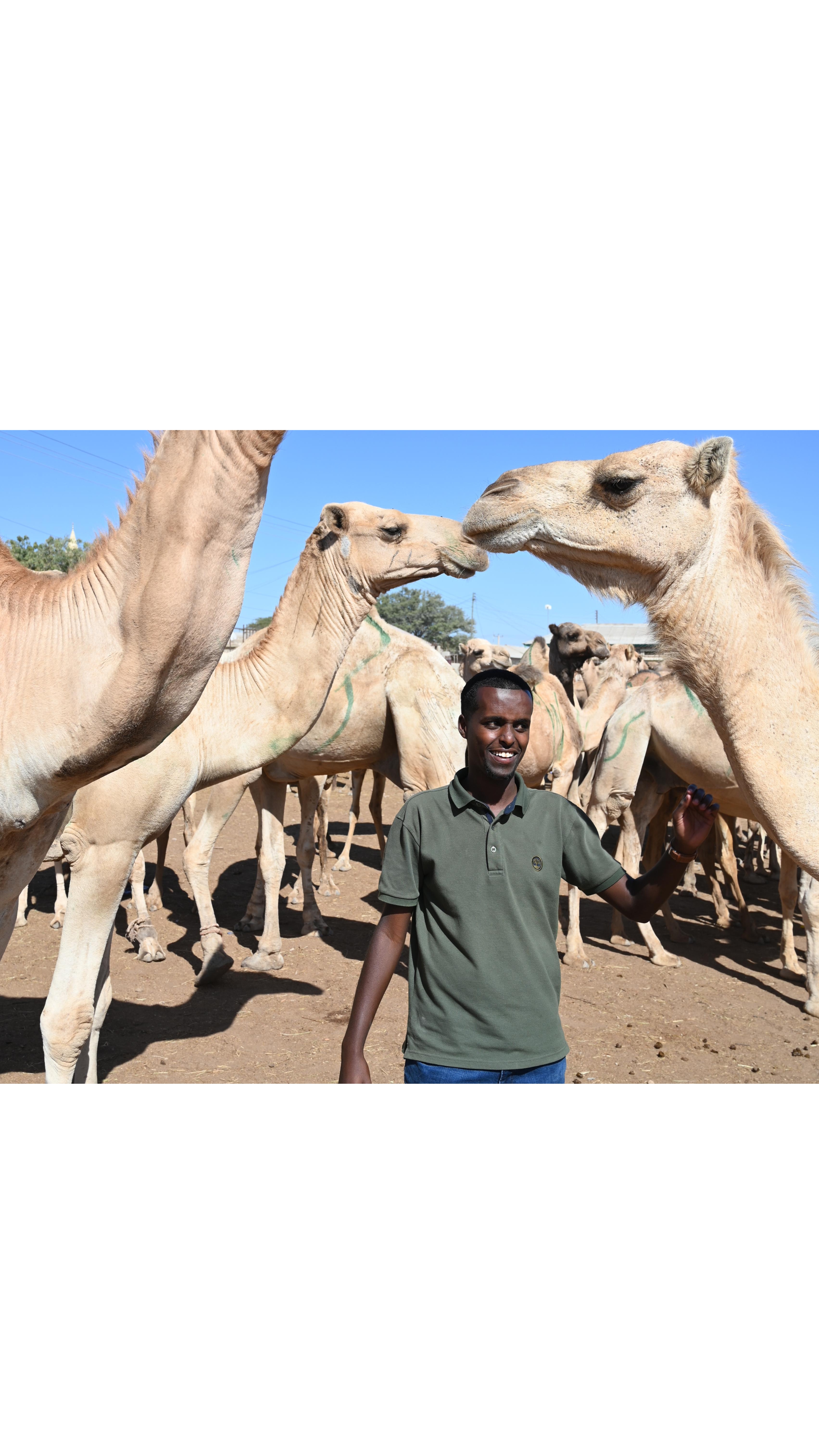 Mohamed Yussuf