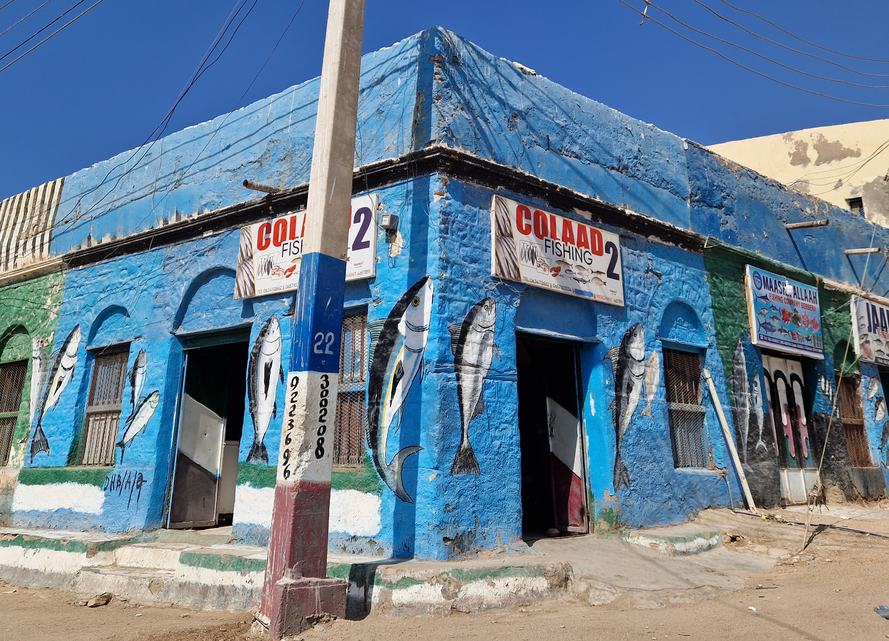 Fish Market