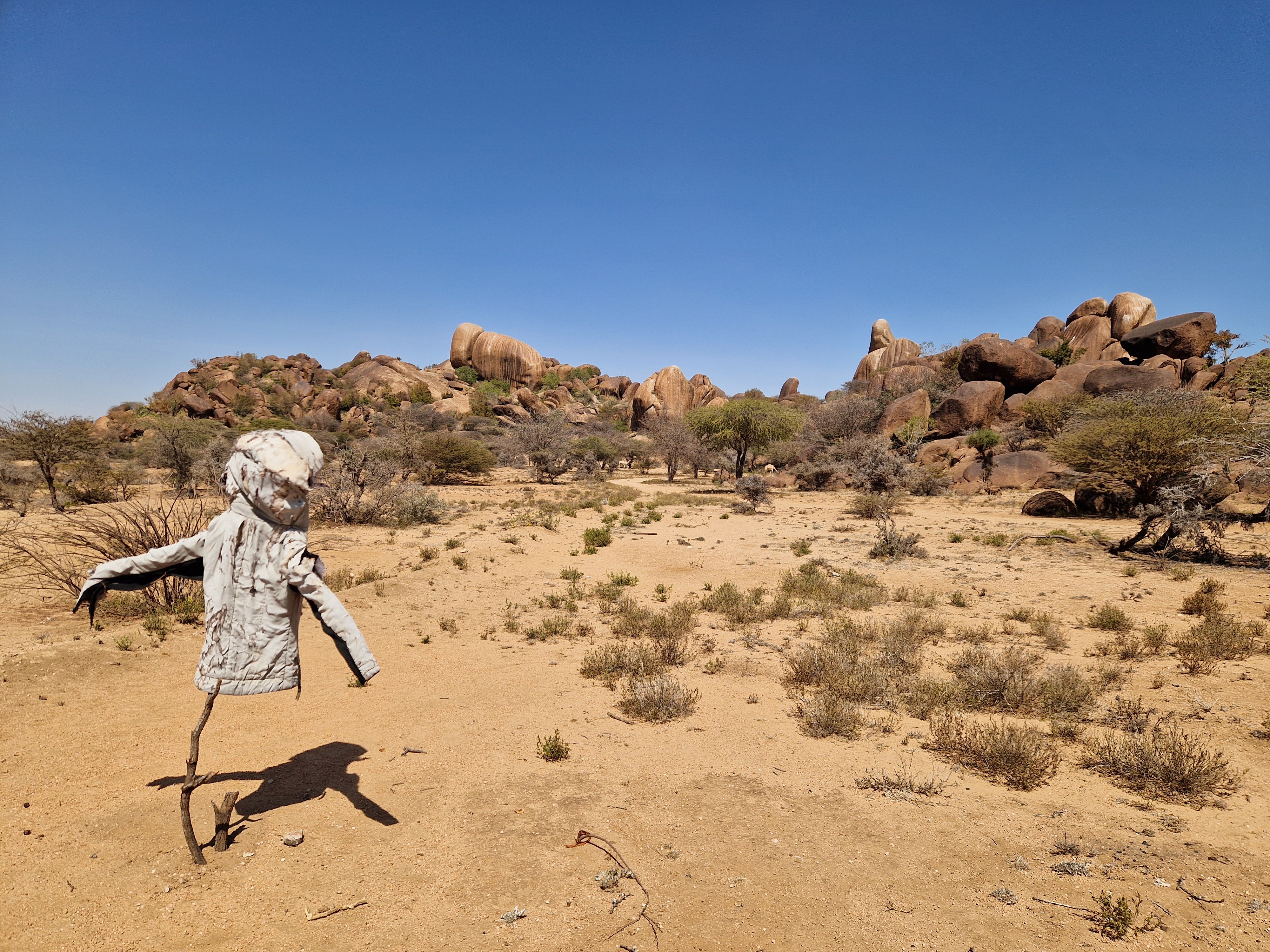 Berbera - Dhagah Khoure – Hargeisa - Departure