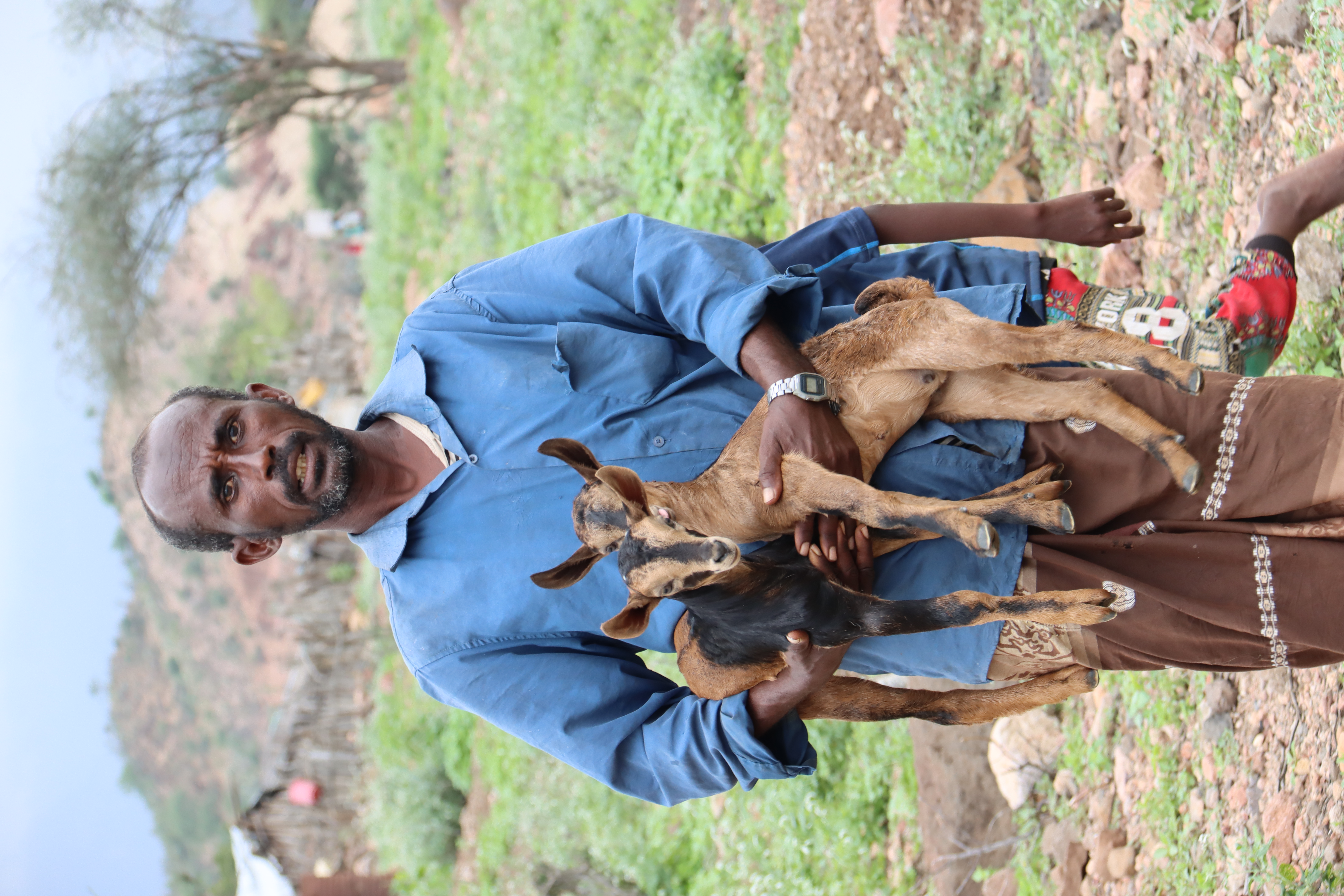 Herder & Baby Goats