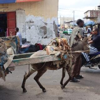 50739586443_d2ab3b9606_o