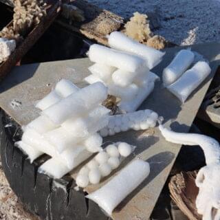 50790989743_141cae7481_o