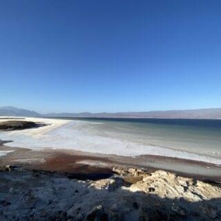 50791849317_cba345b9d5_o