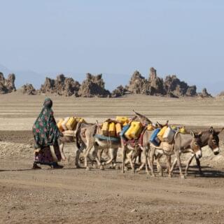 50791867152_3d657f735c_o