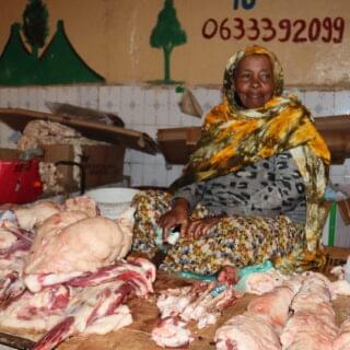 50793663653_9c709958d3_o