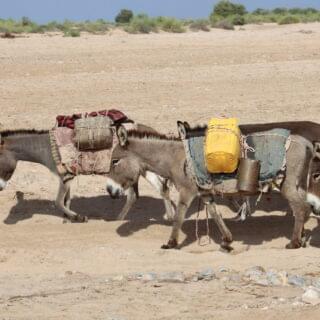 50794393216_ebb6ffe052_o