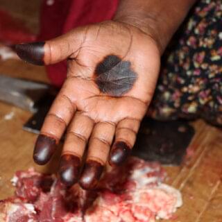 50794412396_ceb69b3207_o