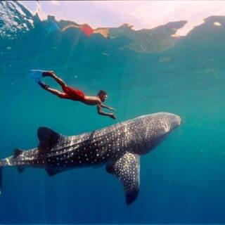 Best of Djibouti (41)